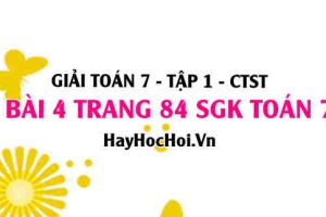 Giải bài 4 trang 84 Toán 7 Tập 1 SGK Chân trời sáng tạo
